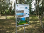Panou publicitar
